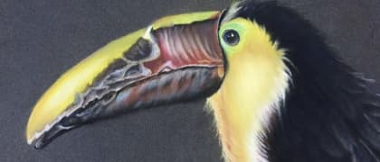 img-artist