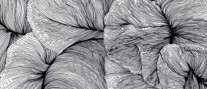 img-Prografic