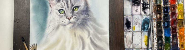 image-cat