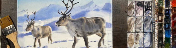 image-deer