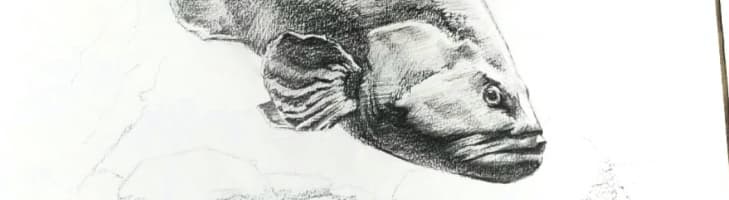 image-perch
