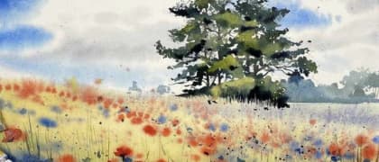 poppy field
